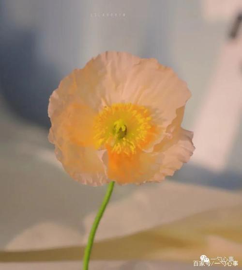 翻篇了什么意思