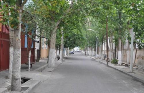 为什么要设白杨市