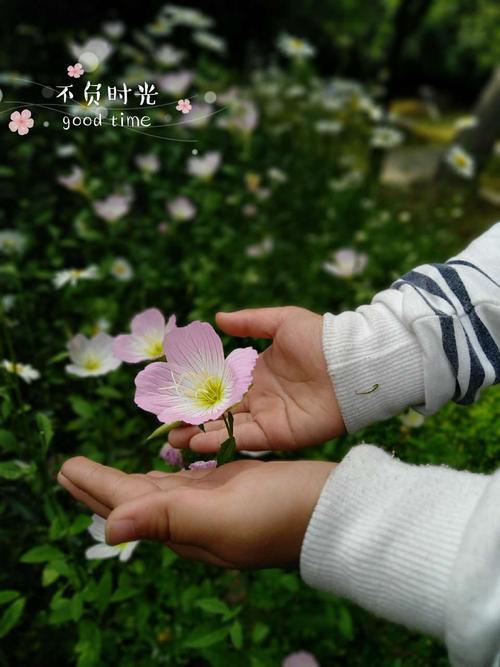 时光变迁岁月不负什么意思