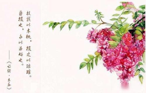 投之以李报之以桃意思