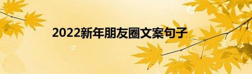 2022总结文案朋友圈