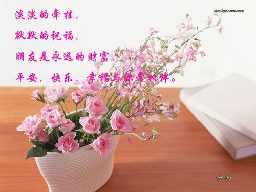 过年祝福姐妹们的话语