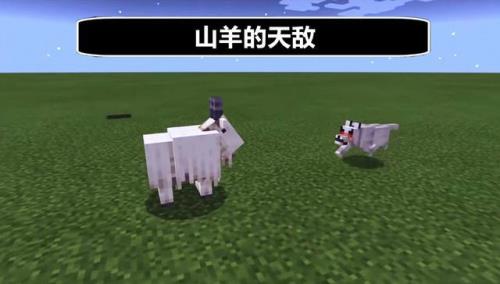 goat是什么网络意思