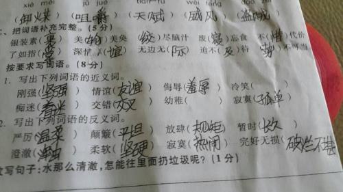 拼命的近义词是啥