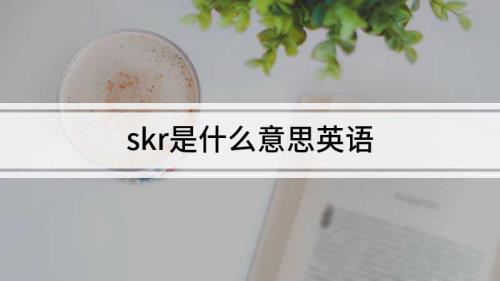 skr中文是什么意思