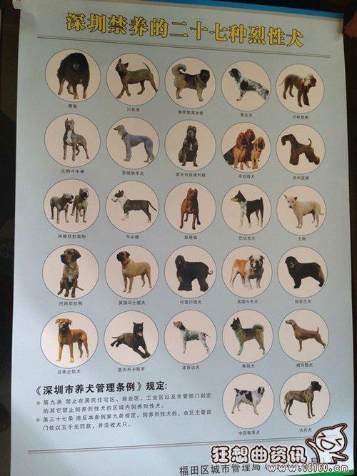 北京禁养犬名单