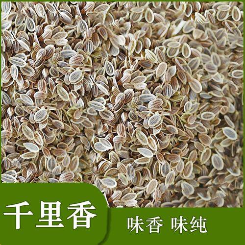 千里香是香料吗