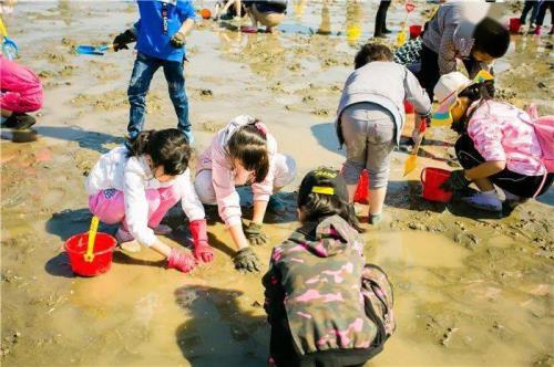 一起赶海是什么意思