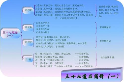 道法表达的方法有哪些
