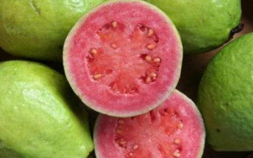 红心芭乐怎样食用