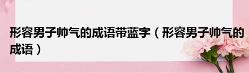 形容一个人帅气的成语