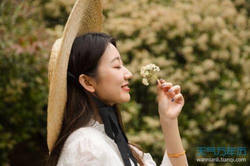 森陌夏栀什么意思