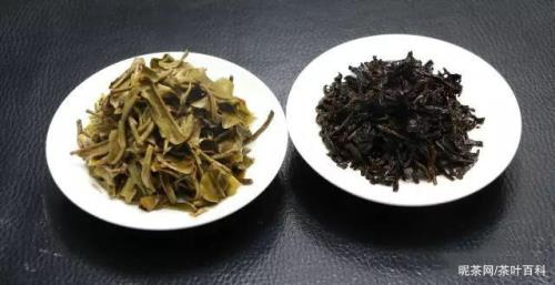 普洱茶熟茶生茶有什么区别