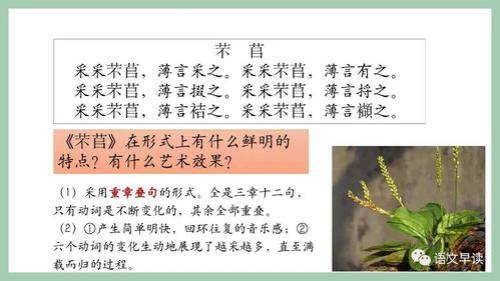 芣苢与插秧歌异同点