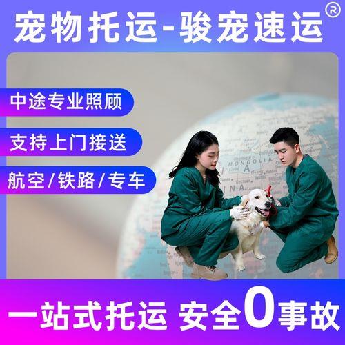 宠物托运汽运一般送到什么地方