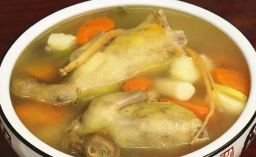 产妇鸽子汤怎么炖