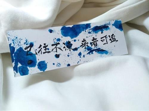往事不谏来者可追什么意思