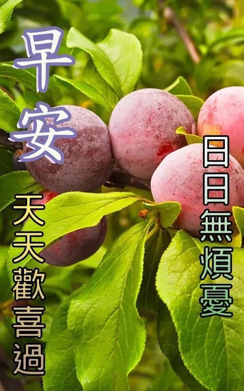 每天早晨祝福语
