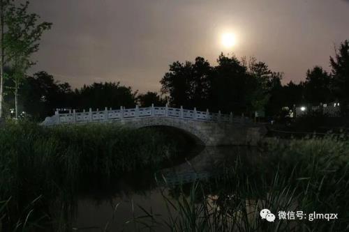 联袂同游明月巷是哪首诗