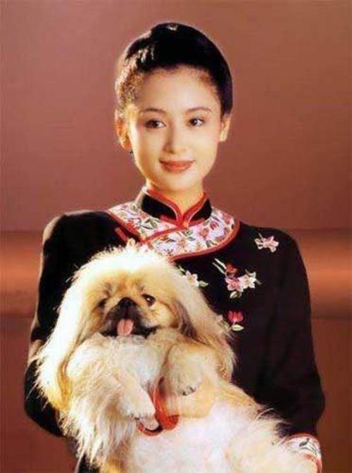 陶骧为什么要娶静漪