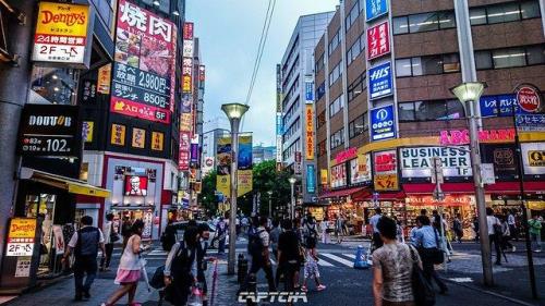 池袋是东京哪个区