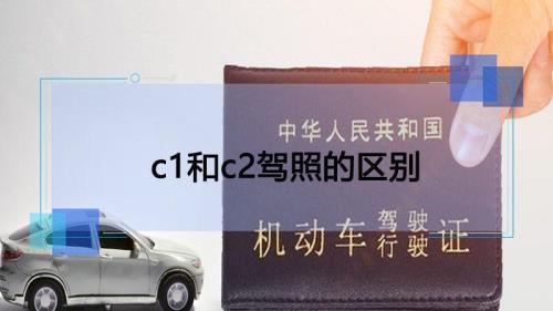 驾照分全名叫什么