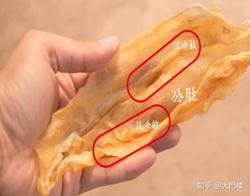 花胶的营养价值和什么接近