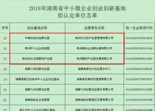 株洲十大企业家排名