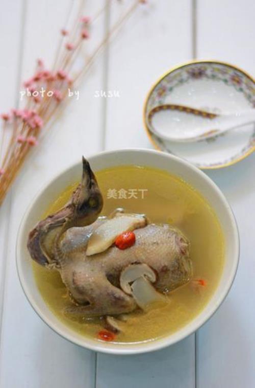 鸽子煲汤用什么材料好