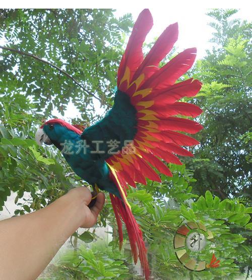 鹦鹉把纸插在羽毛上为什么