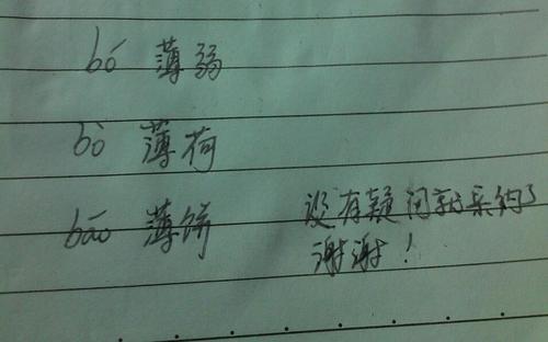 召的多音字有几种