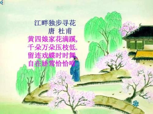 江畔独步寻花唐杜甫四年级下册