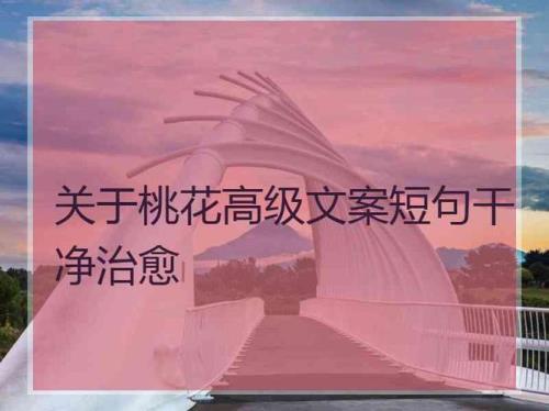 奶奶的搞笑文案高级简短