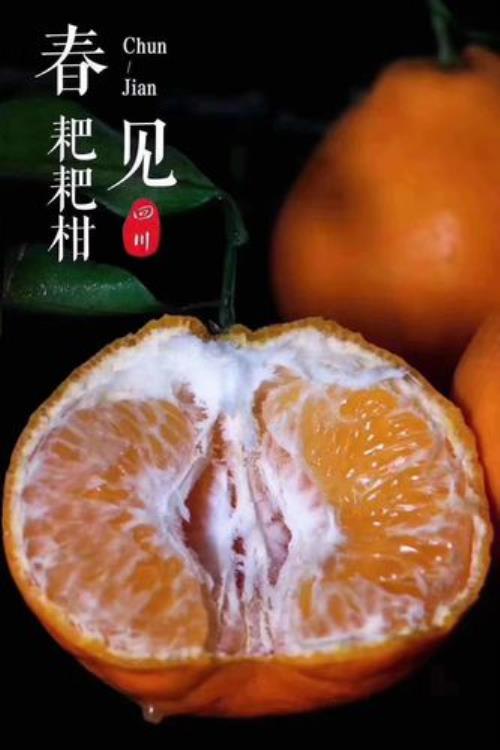 耙耙柑为什么叫耙耙柑
