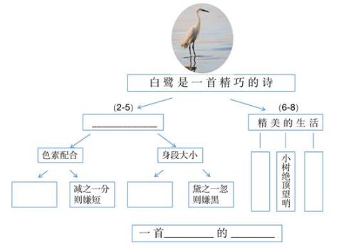 白鹭2-5自然段缩写