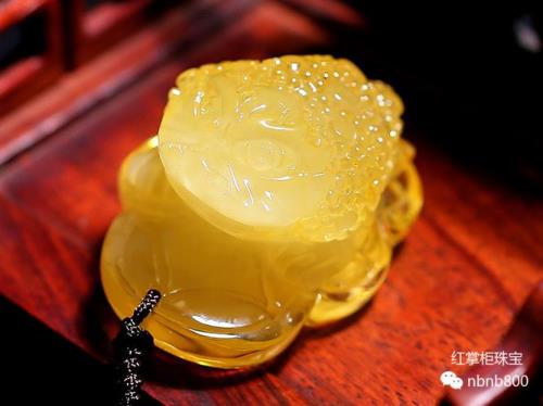 玉蟾象征什么