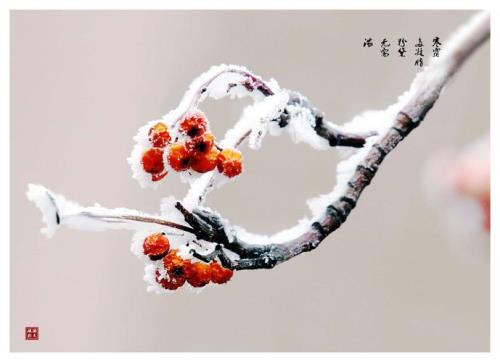 描写寒霜的诗句
