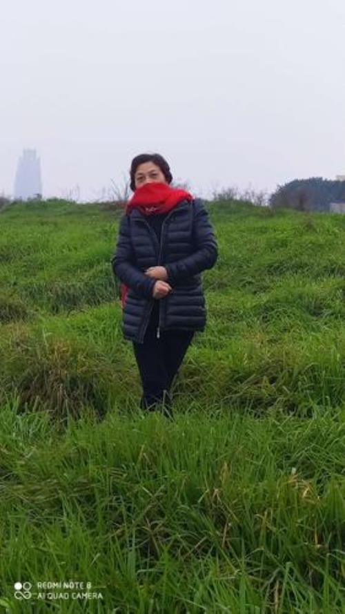 人事纷纷什么意思