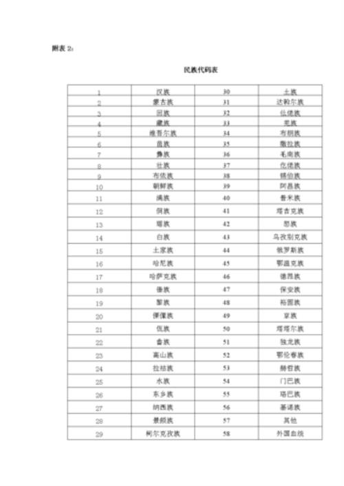 民族代码怎么转换成汉字