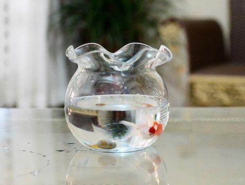 鱼缸玻璃内壁白蒙蒙能抛光吗