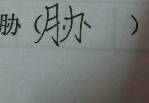 爪怎样组词