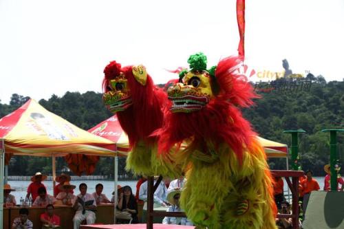 狮王会十甲大结局