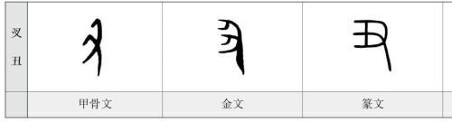 甲骨文会怎么写