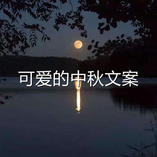 披星戴月文案