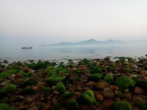 庹的读音