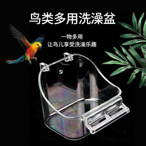 怎样训练虎皮鹦鹉进洗澡盆洗澡