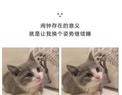 起床起得早段子