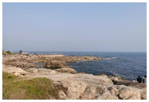 2021年黄岛连三岛潮汐时间
