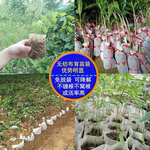 便携营养袋可以用多久