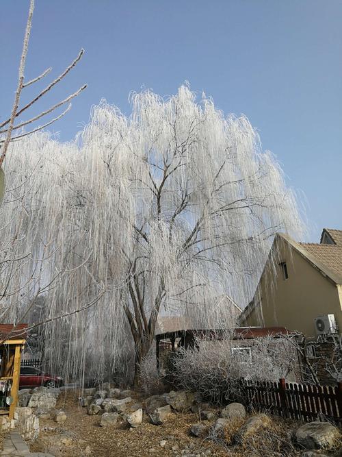 冬天为什么不下雪了
